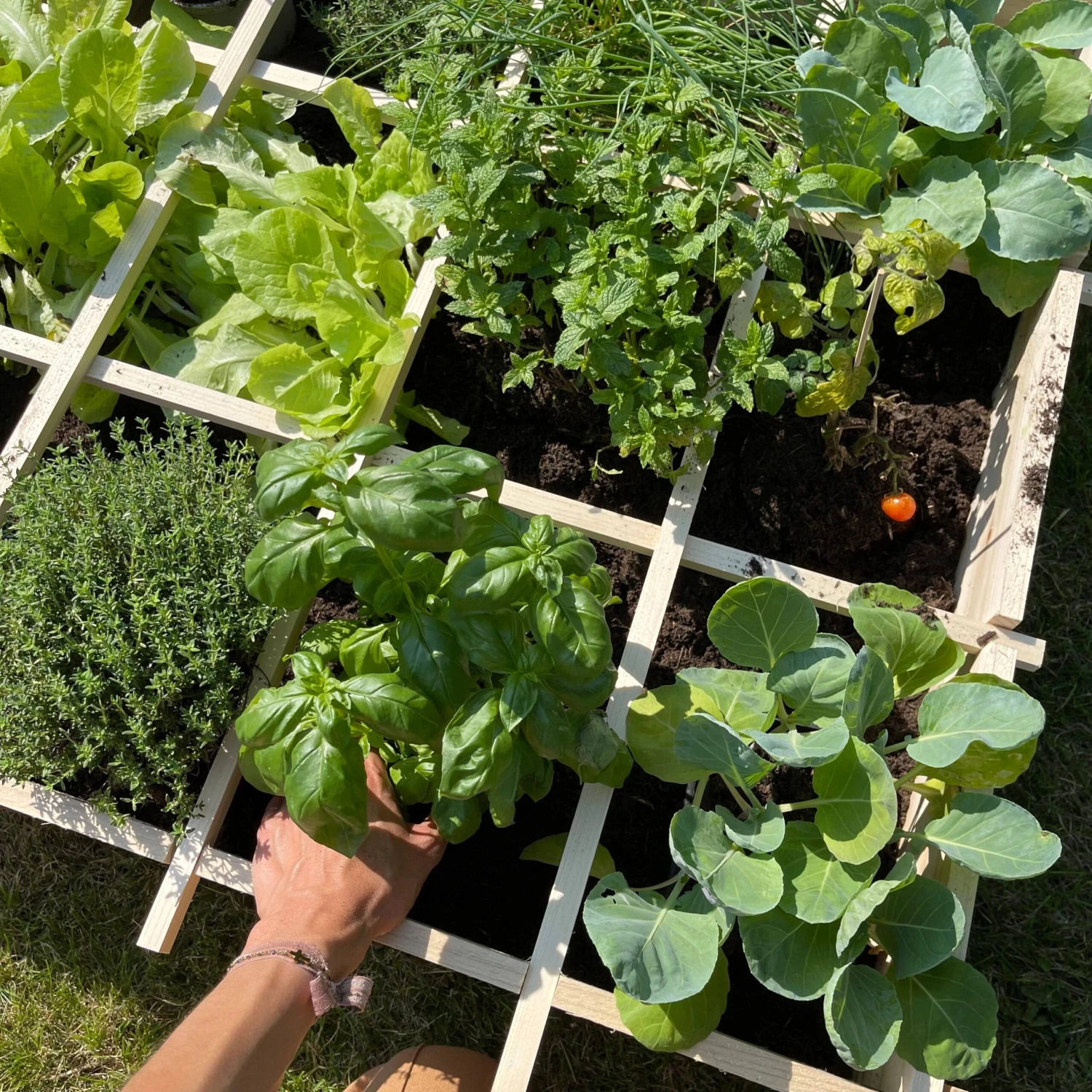 Carré Potager En Bois 90 X 90cm – Image 4