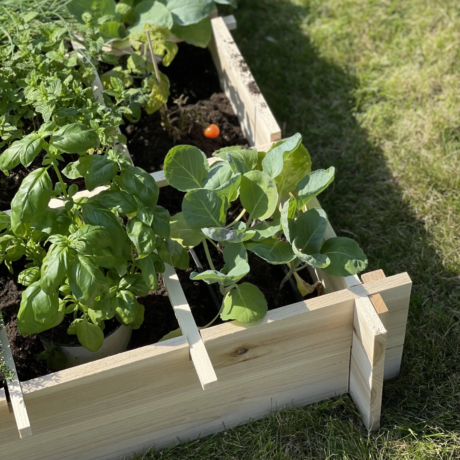 Carré Potager En Bois 90 X 90cm – Image 6